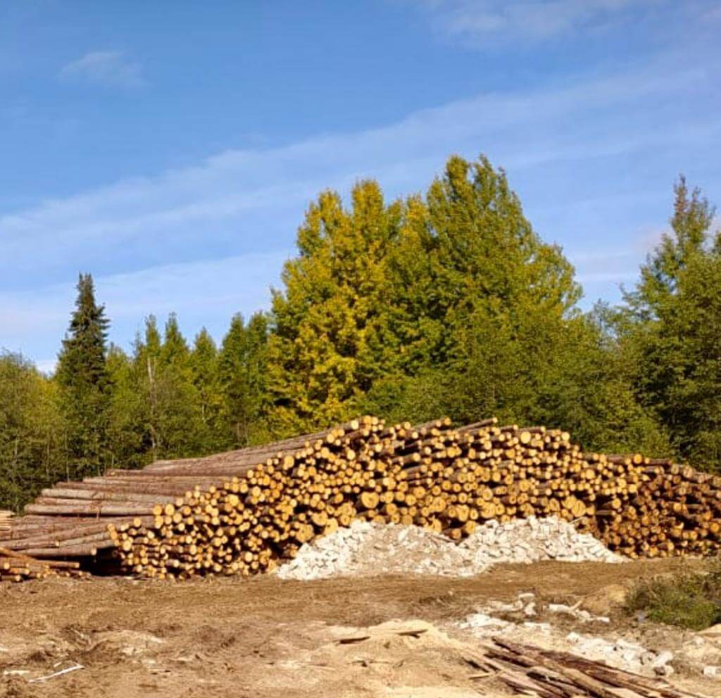 Заголовок